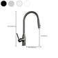 Frendorf | Moderner Pull-down Wasserfüller Einhand Hochbogen Küchenspülenarmatur