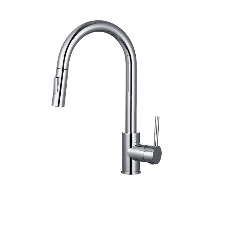 Frendorf | Ganshals Küchenspüle Wasserhahn Drehauslauf mit Pull-Down Spraykopf