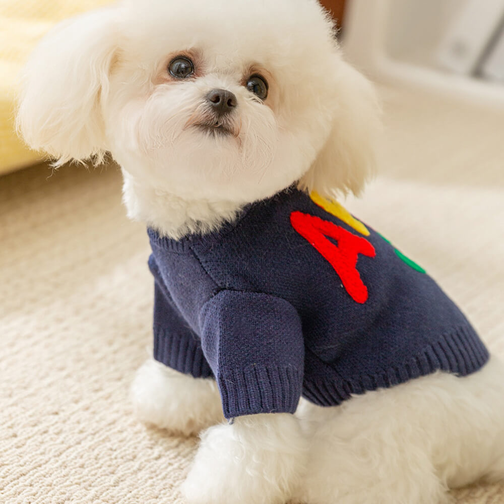 Bunter Apple Strickhundepullover