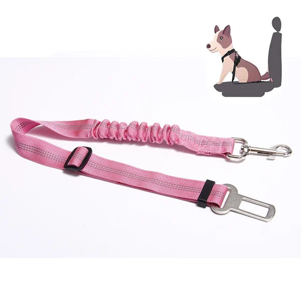 Frendorf |  Sicherheitsgurt für Haustiere