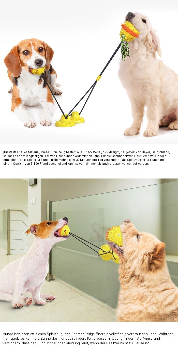 Erhöhter Saugnapf-Seil-Ball Typ D – Doppelsaug mit doppeltem Ballspielzeug