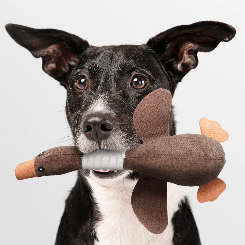 Frendorf | Unzerstörbares Hundespielzeug (1+1 GRATIS) - ToughGoose