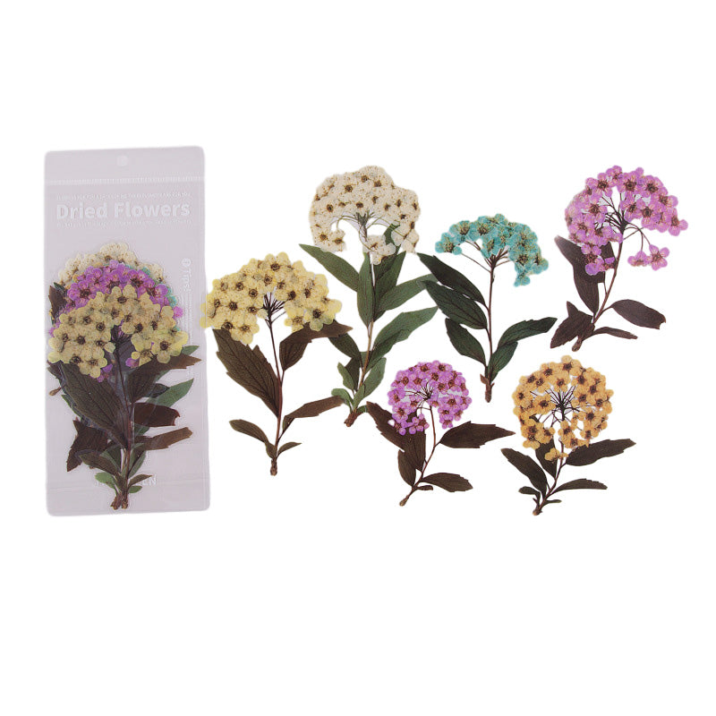 Getrocknete Blumen Aufkleber Set