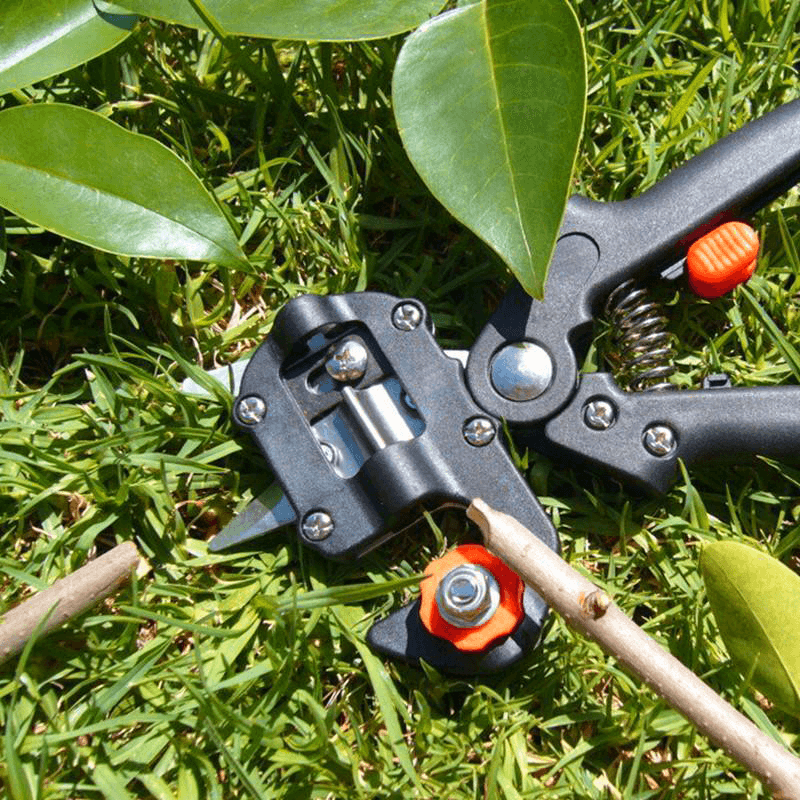 Frendorf | Professionelles Gartenpfropfwerkzeug-Set