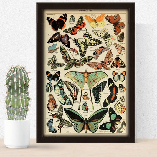 Ästhetische Schmetterlinge Poster