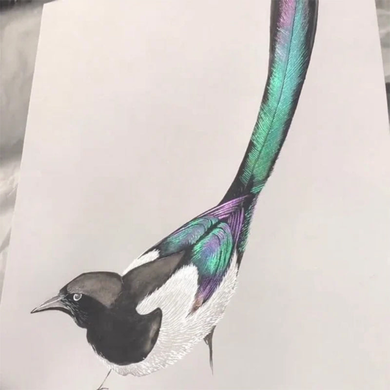 Frendorf | 20 Farben Aquarellmalset