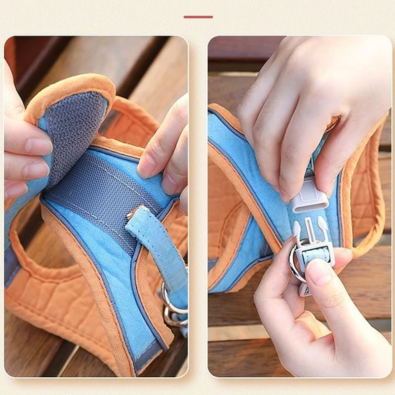 Frendorf | Katzenweste Geschirr und Leinen-Set