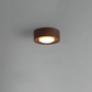 Frendorf | Walnuss-Deckenlampe mit LED-Strahler