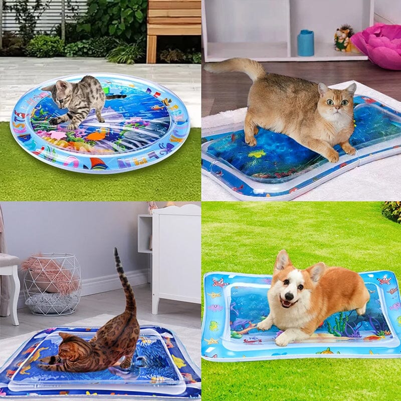 Frendorf | Aufblasbare Wasser-Sinnesmatte für Bauchlage für Baby & Haustier