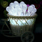 Frendorf | Outdoor Solar Lichterkette, Garten Dekor LED Wassertropfen Wasserdichte Lichter