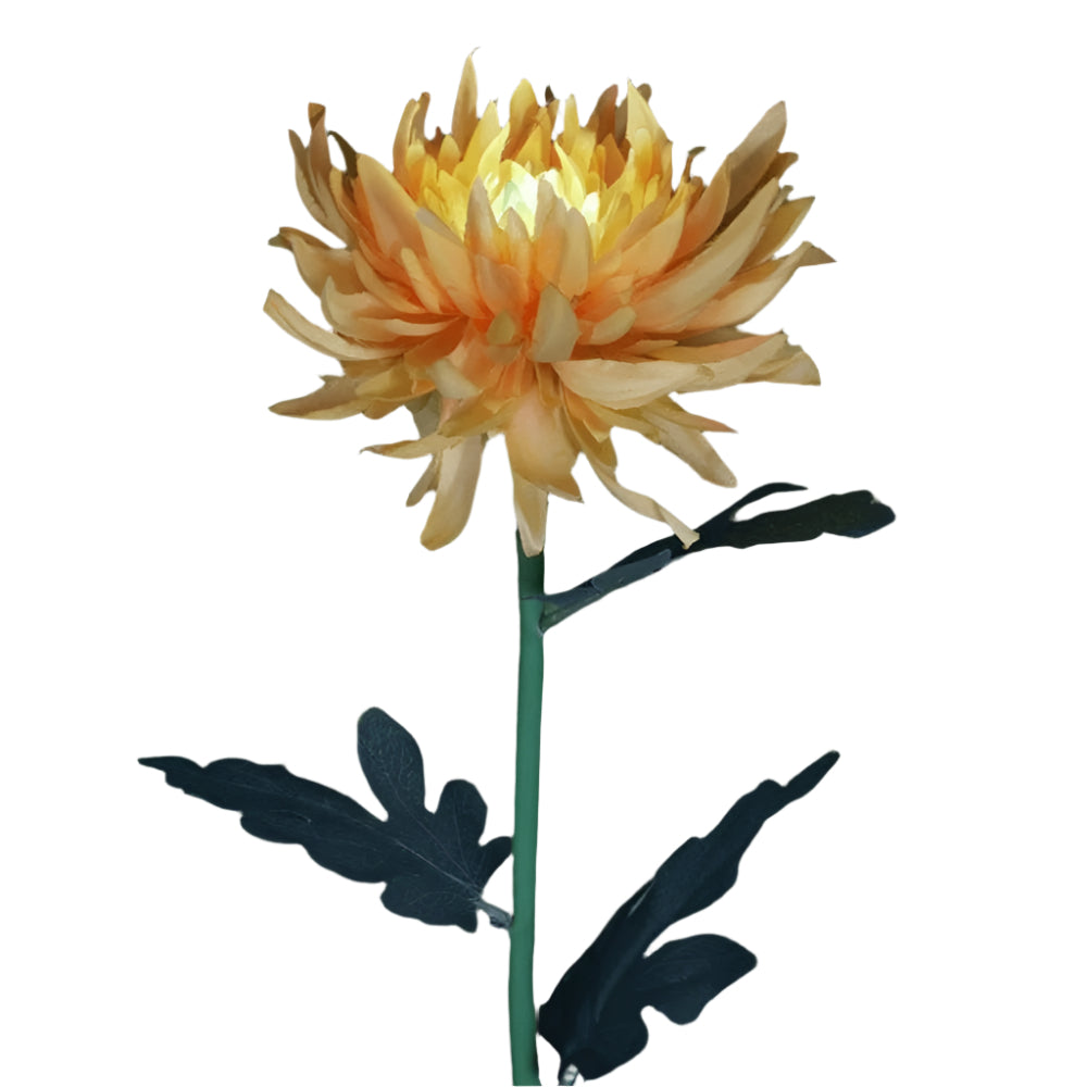 Frendorf | BloomGlow solarbetriebene Gartenlampen – Farbwechselnde LED-Außendekoration