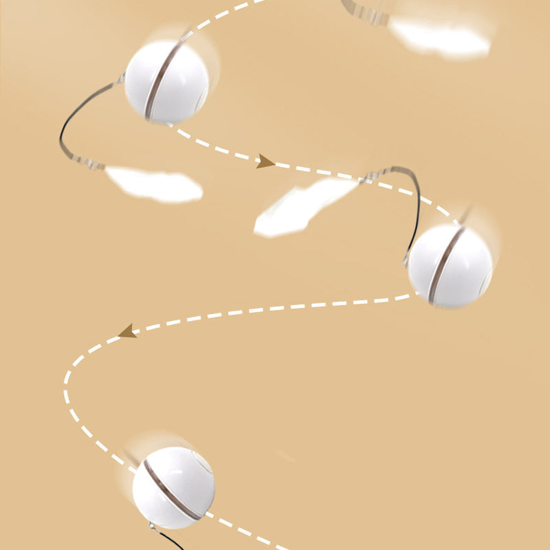 Frendorf | Automatisch geführter, intelligenter Katzenball