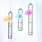 Frendorf | FloatTerrarium Hängendes Glas-Terrarium | Eisenhalterung | Modernes Design | Perfekt für Pflanzenvermehrung & Dekoration