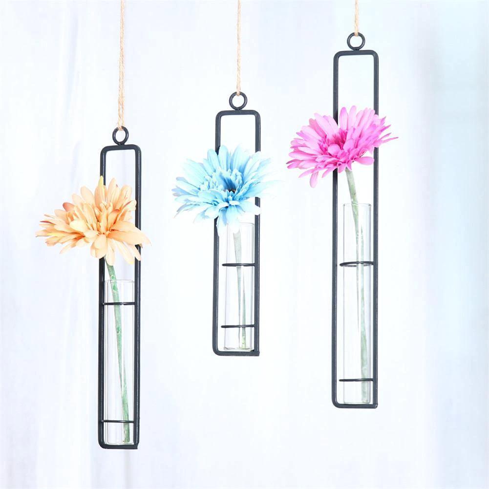 Frendorf | FloatTerrarium Hängendes Glas-Terrarium | Eisenhalterung | Modernes Design | Perfekt für Pflanzenvermehrung & Dekoration