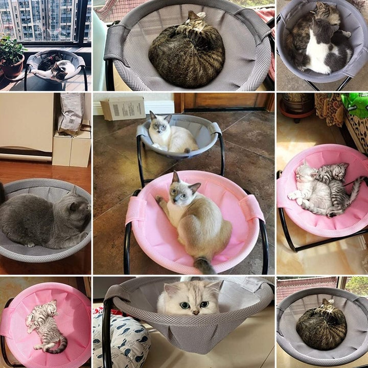 Frendorf | Boden Katzenhängematte mit Ständer