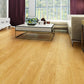 Frendorf | Rechteck PVC Bodenbelag Peel and Stick Glatt Holzlook Vinylboden