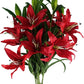 Frendorf | 10 Köpfe Künstliche Lilien Blumen Realistische Fake-Lilien Bouquet für Wohnkultur Hochzeitsarrangements Tischdekorationen und Blumen Displays Lebensechte Künstliche Lilien mit Weichen Blütenblättern und Flexiblen Stielen