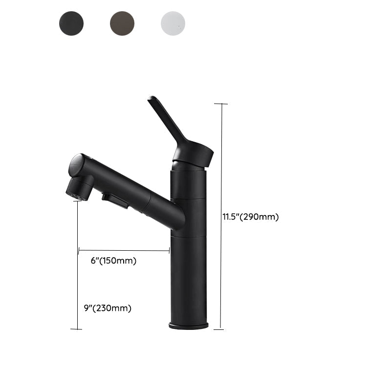 Frendorf | Badezimmer Gefäße Wasserhahn Schwenkauslauf Einhand-Wasserhahn mit Herausziehbarem Sprühkopf