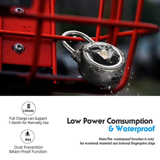 Frendorf | Biometrisches Schloss