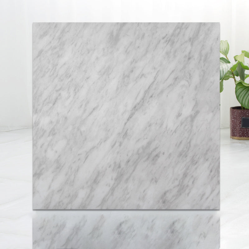 Frendorf | Modernes Indoor-Vinylboden Peel and Stick Marmorprint-Vinylboden