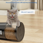 Frendorf | Automatischer Katzenfutterautomat mit Timer