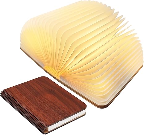 Frendorf Bücherlampe