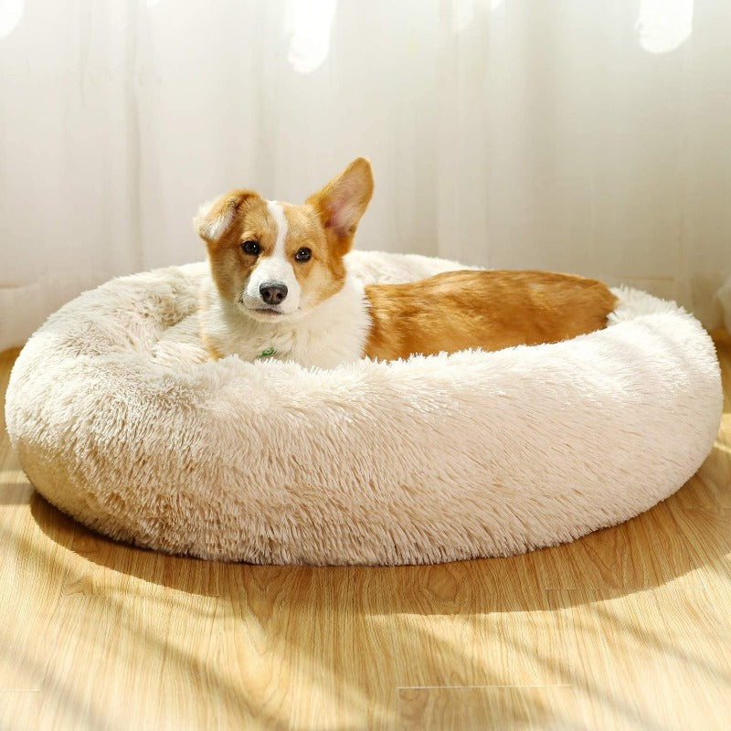 Runder Plüsch Beruhigender Donut Hundebett für kleine bis große Hunde