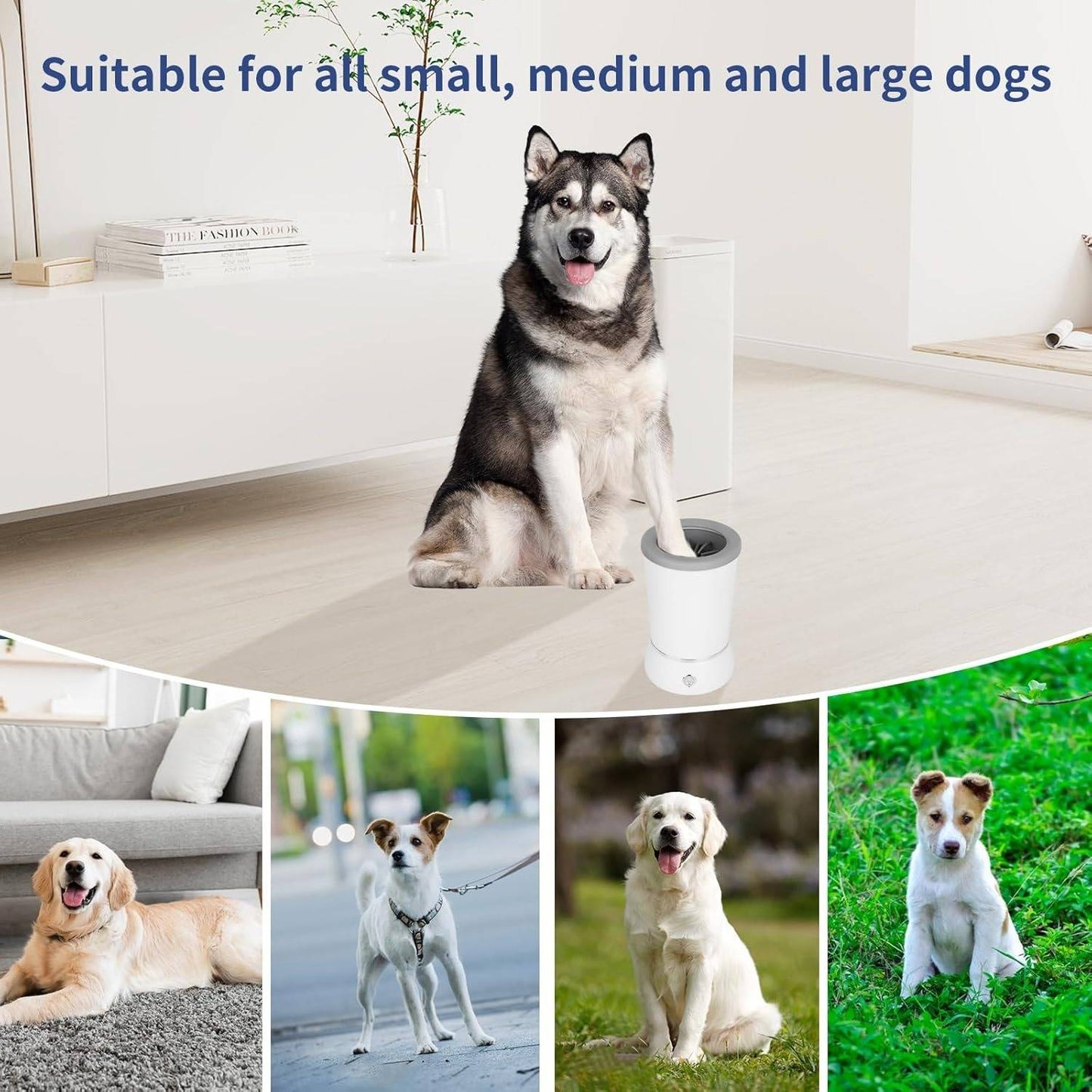 Frendorf | Automatischer Hundepfotenreiniger