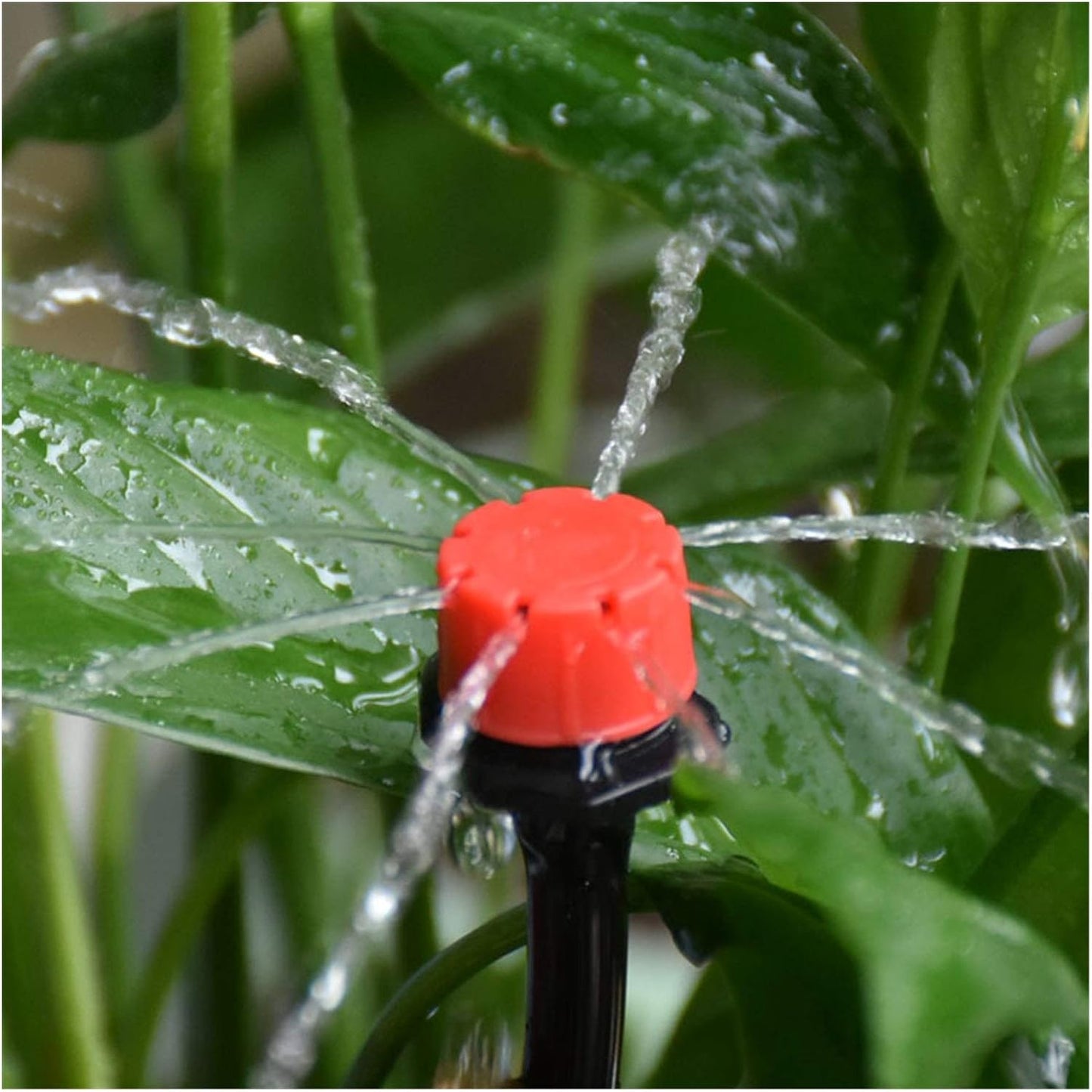 Frendorf | Automatisches Tropfbewässerungssystem für Pflanzen – Komplettes Set für Garten und Balkon