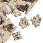Frendorf | Beach Pooping Cat Puzzle 1000 Teile