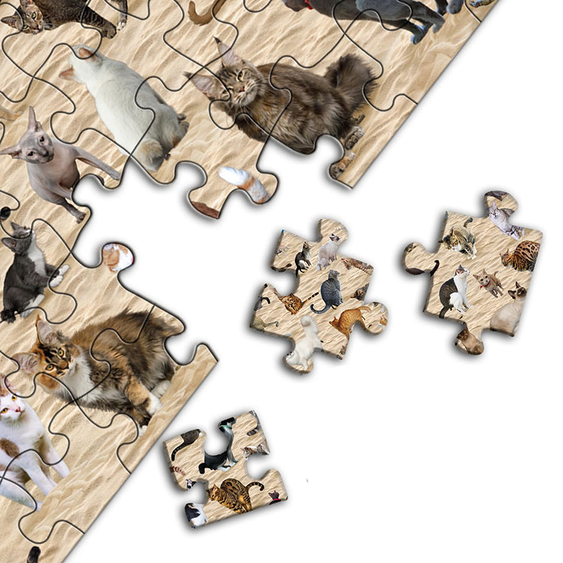 Frendorf | Beach Pooping Cat Puzzle 1000 Teile