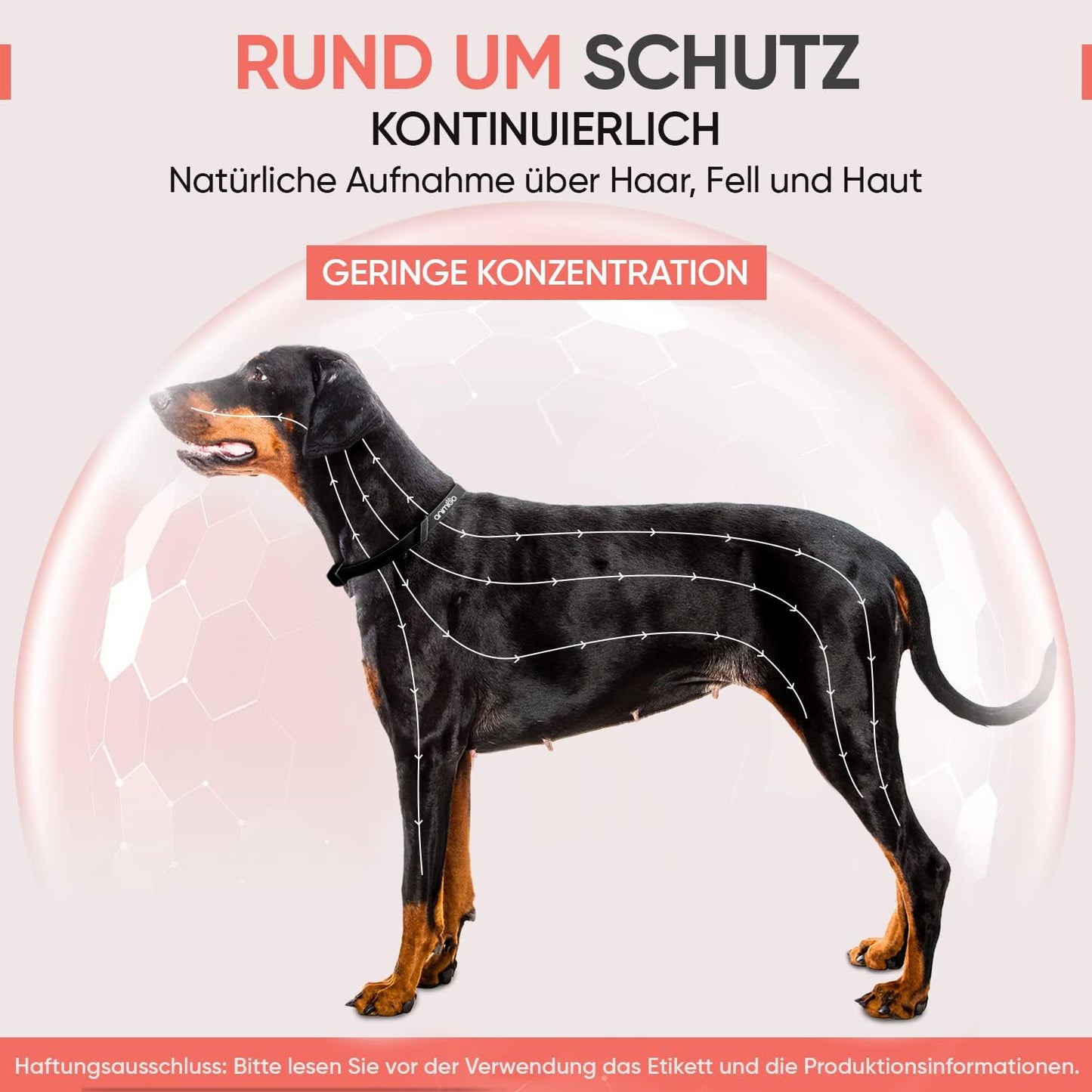 Frendorf | Anti Zecken Halsband