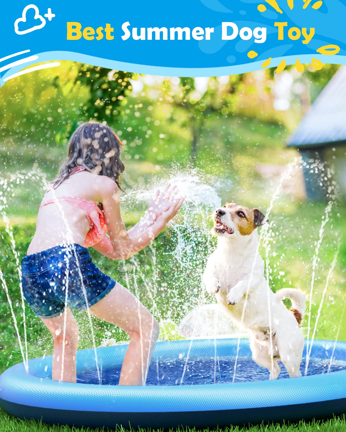 Sprinklerpool für Haustiere im Sommer