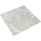 Frendorf | Indoor Vinylboden Peel and Stick Quadrat PVC Fleckenresistenter Vinylboden