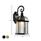 Vogelk cage Außen Wand montierte Leuchte rustikal klar/gefrostetes Glas 1-Kopf Schwarz/Bronze Finish Wandlampe