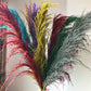 Pampas Getrocknete Blumen