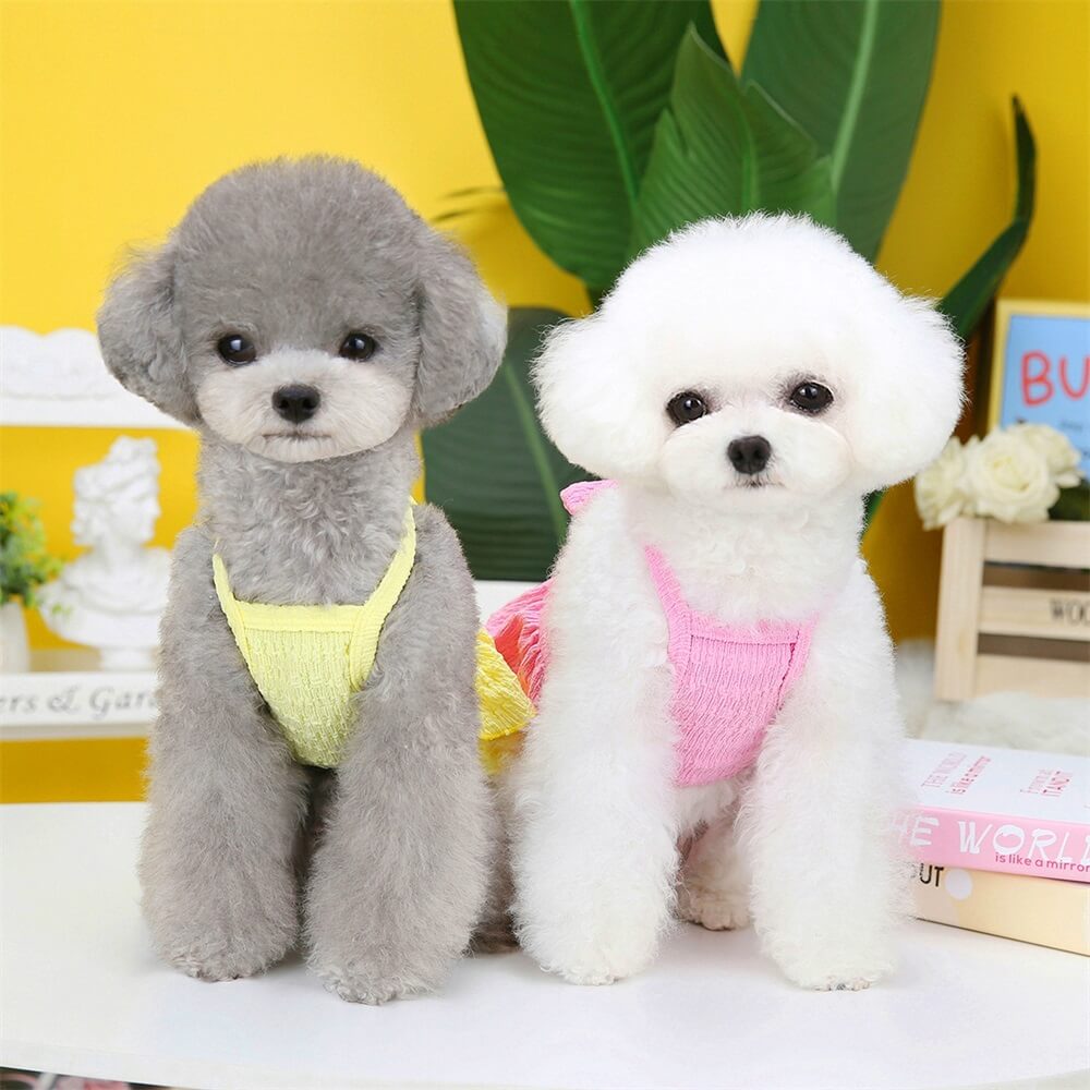 Adorable Rüschhundekleid mit Schleife - Perfekt für Sommerausflüge