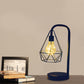 Frendorf | Druppel/Bal Kooi Plug In Tafel Lamp Moderne Stijl Zwarte LED Nachtkast Verlichting met Gooseneck Arm