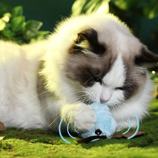 – intelligenter interaktiver Plüschball für Katzen | 1 kaufen, 1 gratis bekommen 🎁