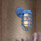 Frendorf | 1 Glühbirne Metalnetz Wandmontierte Lampe Küstrot/Blau Helles Glas Beleuchtung für Außen