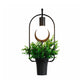 Frendorf | Exposed Bulb Metall Wandlampe mit Topfdekoration Lodge Stil 1 Licht Restaurant Wandbeleuchtung in Schwarz, 3"/4" B