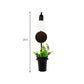 Frendorf | Exposed Bulb Metall Wandlampe mit Topfdekoration Lodge Stil 1 Licht Restaurant Wandbeleuchtung in Schwarz, 3"/4" B