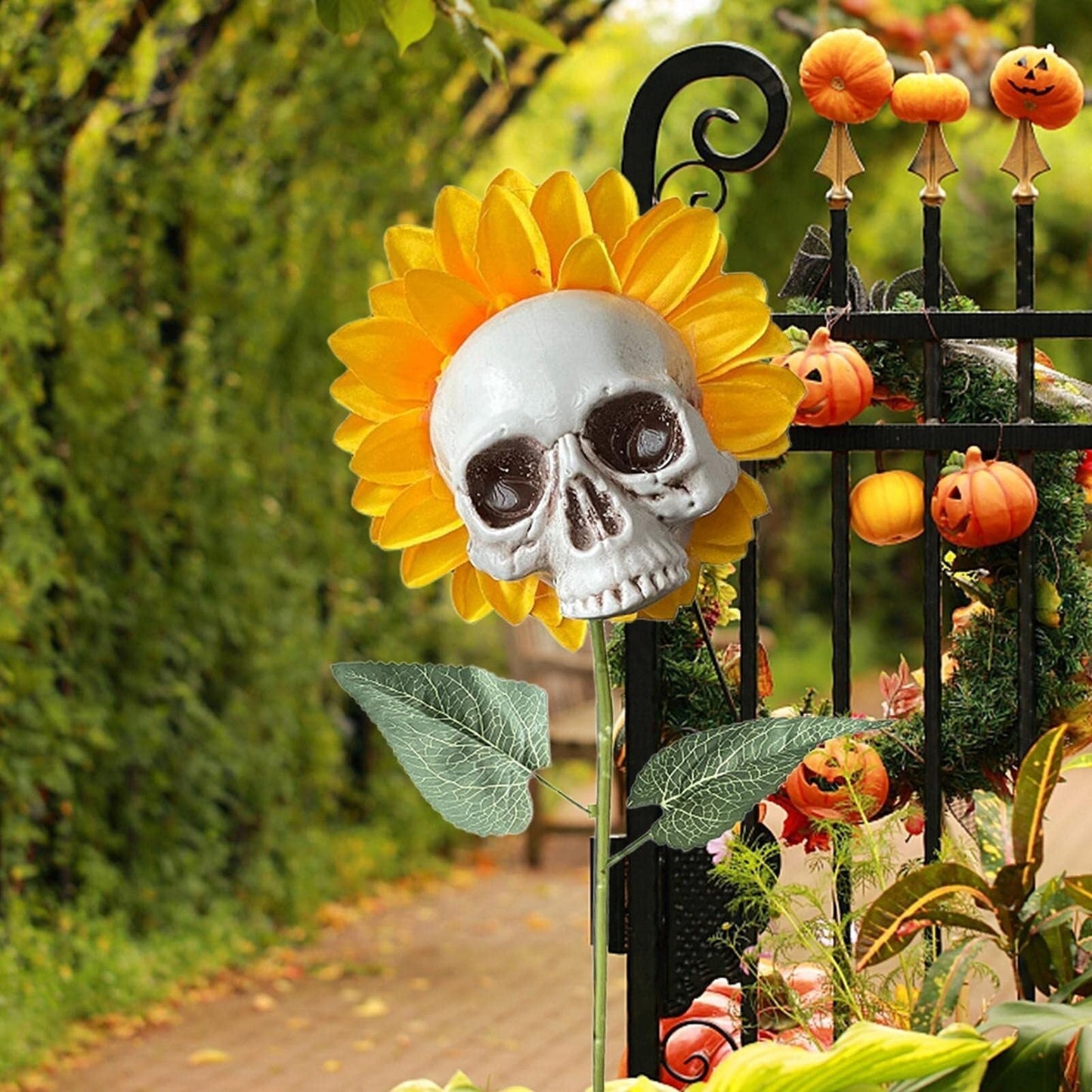 Frendorf | BloomSkull – Die gruselig-schöne Sonnenblume für Halloween!