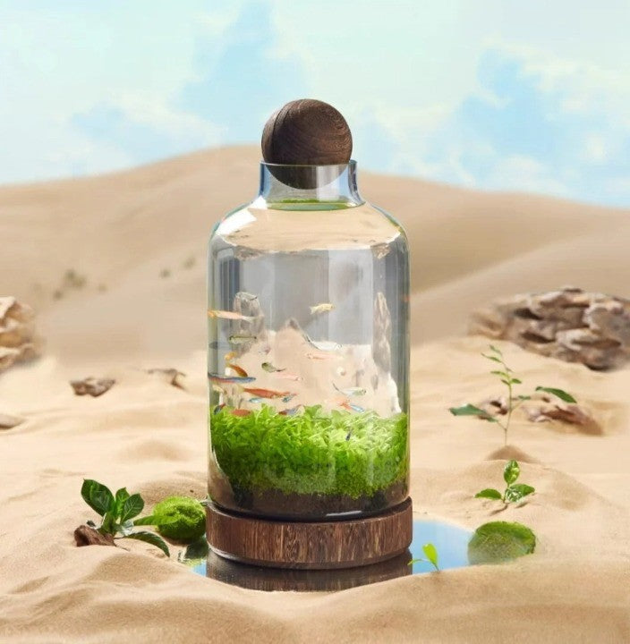 Frendorf | Mikro Aquarium Kompaktglas Ökologischer Fischtank