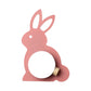 Frendorf | Rabbit Flush Mount Wandlamp Cartoon Iron 1 Lamp Pink/Blau Wandmontage Licht mit Ball Lampenschirm