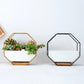 Frendorf | GeoFrame Keramik Wandpflanztopf mit Metallrahmen | Octagon Design