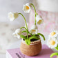 Frendorf | BloomCraft Ultimatives Handgefertigtes Vase-Kit für eine schöne Wohnkultur