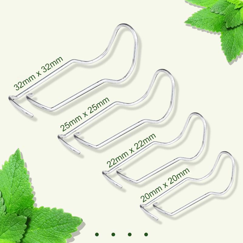 Frendorf | Pflanze verbindende Schnallen