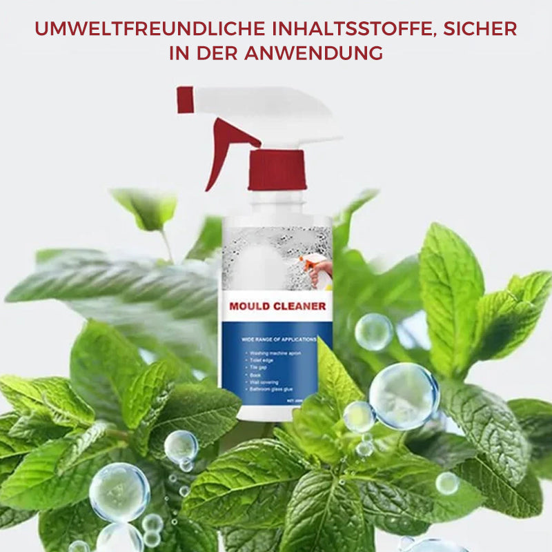 Frendorf | Schimmel-Reinigungsschaum