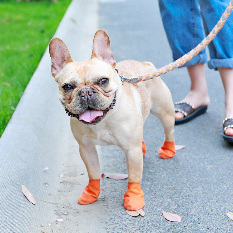 Frendorf | Wasserdichte Hundeschuhe zum Schutz der Pfoten